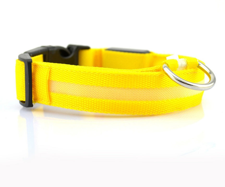Pawsitively Pets LED Pet Collar