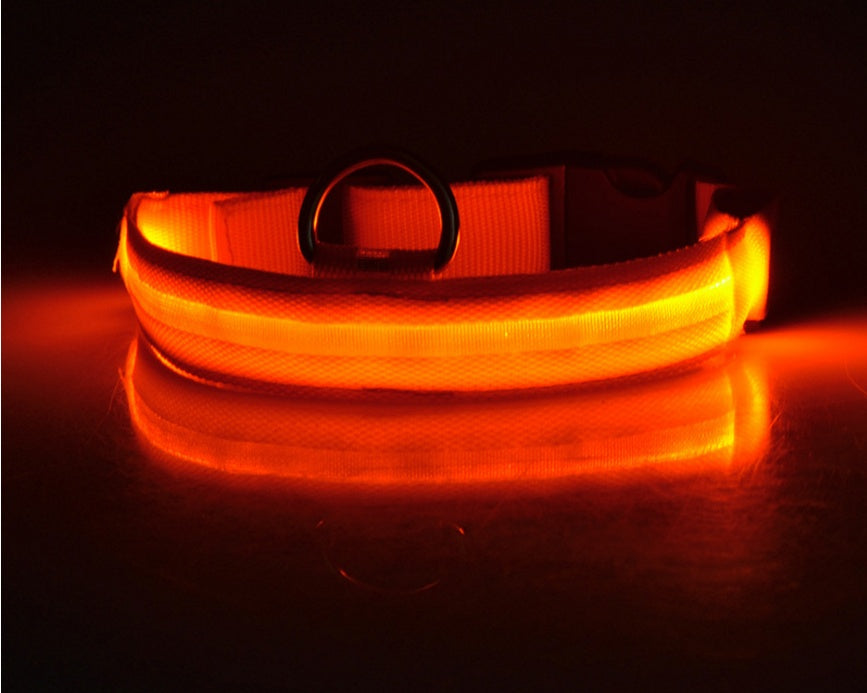 Pawsitively Pets LED Pet Collar