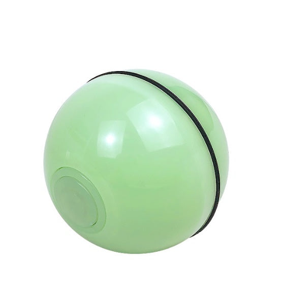 Pawsitively Pets LED Electronic Rolling Pet Ball