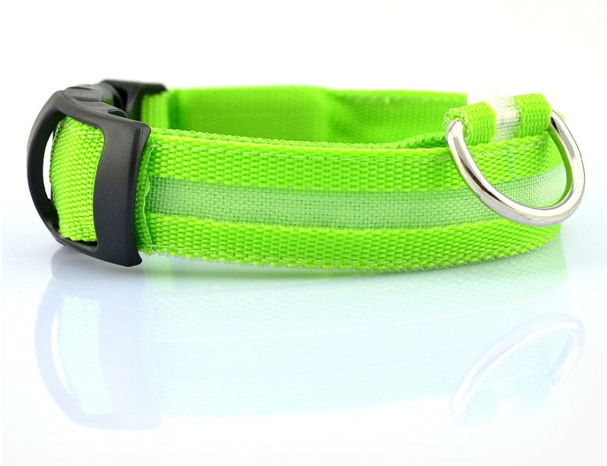 Pawsitively Pets LED Pet Collar