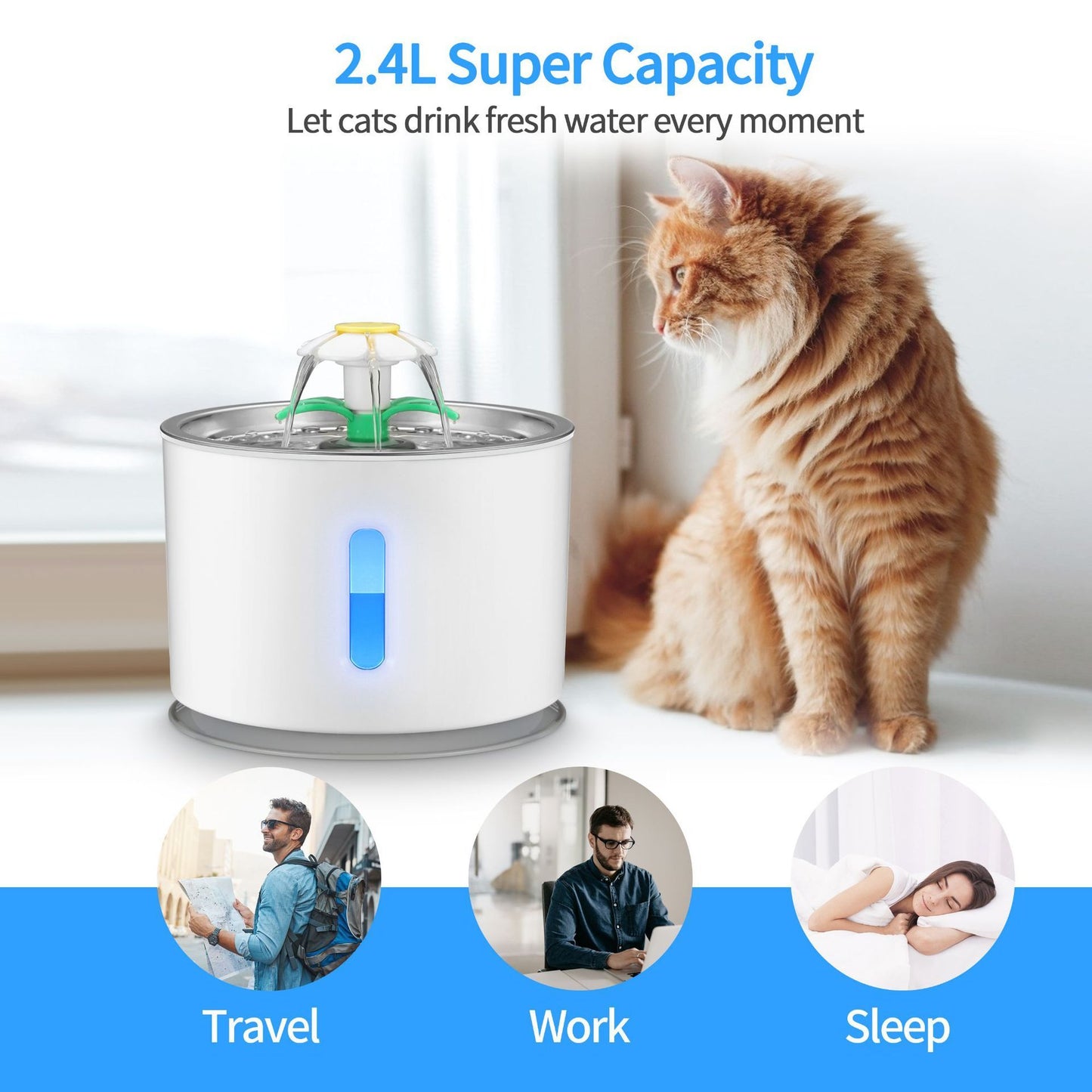 Pawsitively Pets Stainless Steel Water Dispenser