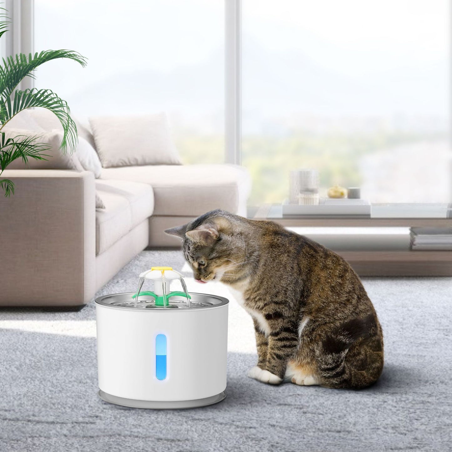 Pawsitively Pets Stainless Steel Water Dispenser