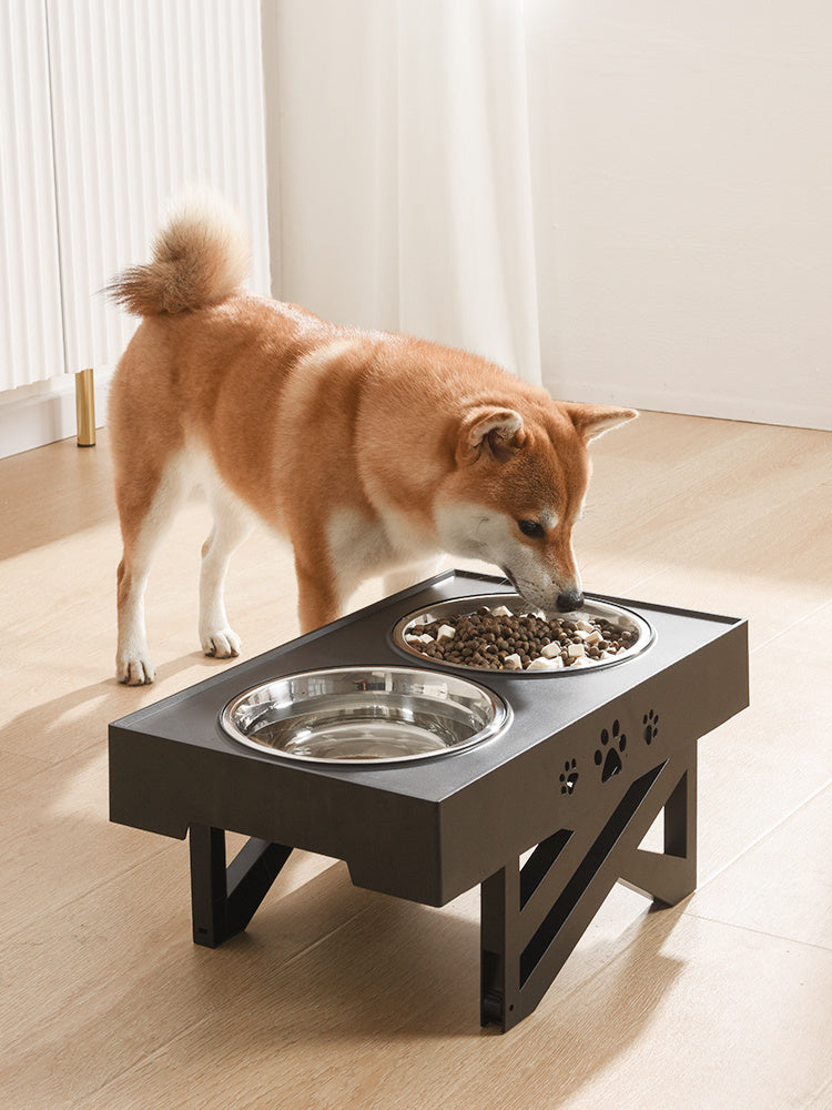 Pawsitively Pets Stainless Steel Foldable Feeder