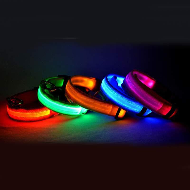 Pawsitively Pets LED Pet Collar