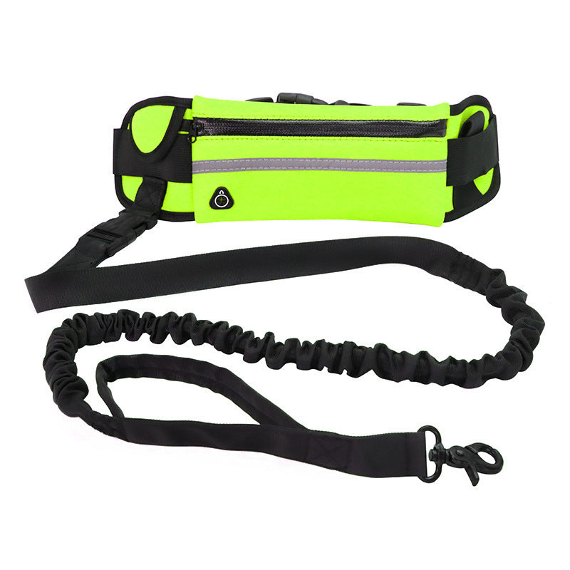 Pawsitively Pets Hands Free Dog Leash