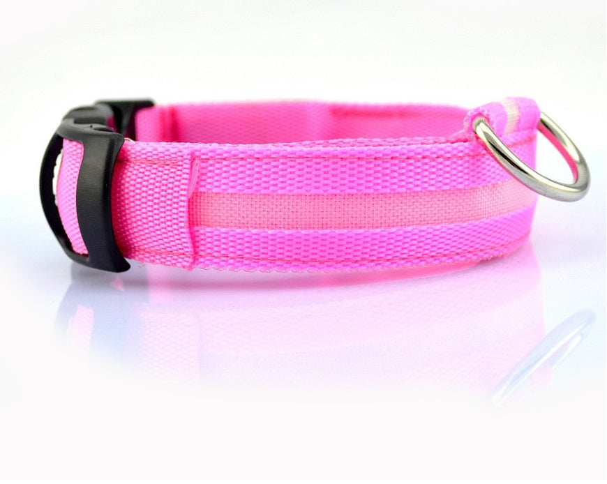 Pawsitively Pets LED Pet Collar