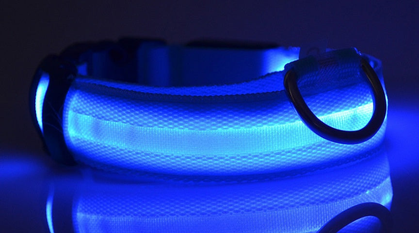 Pawsitively Pets LED Pet Collar