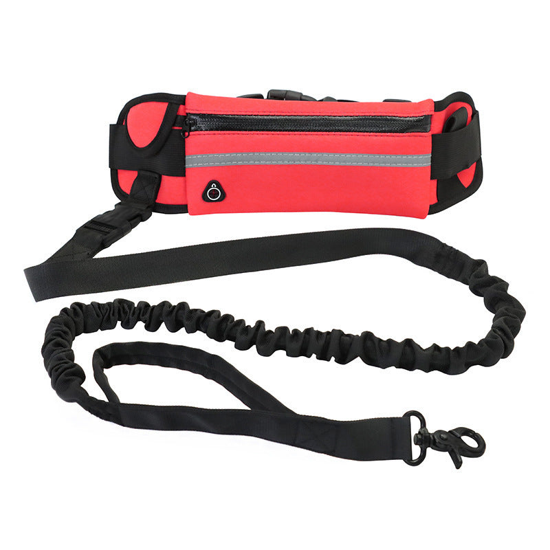 Pawsitively Pets Hands Free Dog Leash